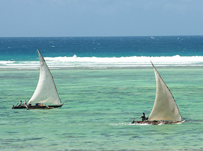 Dhow ships